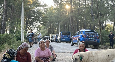 Akbelen Ormanı’na sabaha karşı 05.30’da baskın: “Çamları kesmeye başladılar”