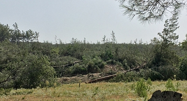 Akbelen Ormanı’ndaki ağaç kesimi dördüncü gününde devam ediyor