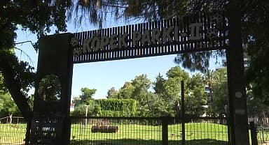 Antalya Büyükşehir'in yenilediği Köpek Parkı ile can dostların keyfi yerinde