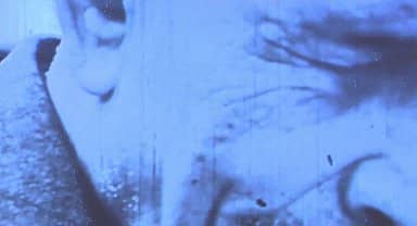 Aşık Veysel, Büyükçekmece'de düzenlenen konserle anıldı