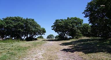 Beylikdüzü'nde Gürpınar Kent Ormanı için çalışmalar başladı