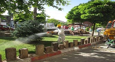 Bozkurt Belediyesi 2023 ilaçlama programı oluşturdu