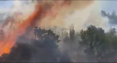 Burdur'da ormanlık alanda çıkan yangın söndürüldü