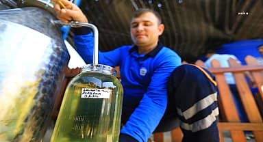 Büyükşehir Distilasyon Tesisi Muğla'nın aromatik bitkilerini işliyor