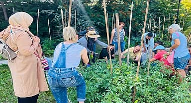 Çankaya bostanında doğal avcılar iş başında