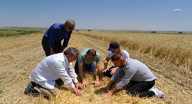 Eskişehir Büyükşehir'den küçük çiftçiye kazandıran destek