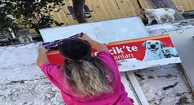 Germencik Belediyesi yaz sıcağında can dostlar için seferber oldu