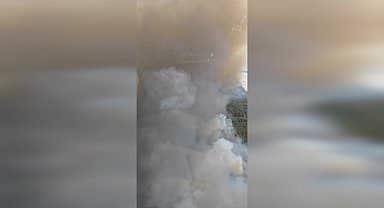 Gökçeada'da orman yangını çıktı
