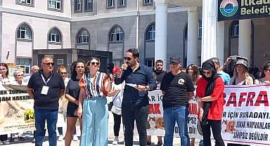 Hayvan Hakları Dernekleri, 300 köpeği öldürdüğünü iddia ettikleri Samsun İlkadım Belediyesi'ni protesto etti