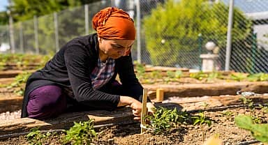 İzmir Büyükşehir Belediyesi, Buca'da mahalle bostanı kurdu