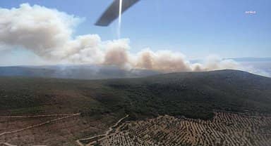İzmir'in Çeşme İlçesi'nde orman yangını çıktı