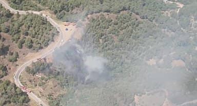 İzmir'in iki ilçesinde orman yangını çıktı