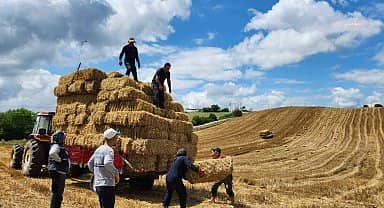 İzmit Belediyesi, buğday tarlasından elde edilen balyaları üreticilerle paylaşacak