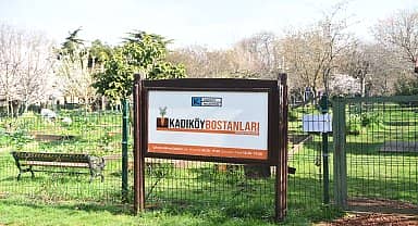 Kadıköy bostanlarında hasat zamanı