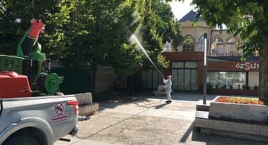 Kırşehir Belediyesi'nden yaprak bitine karşı ağaçlarda ilaçlama çalışması