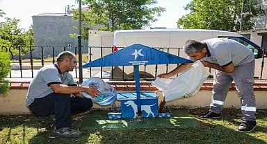 Küçükçekmece'de patili dostlar, sıcak havalarda da yalnız değil