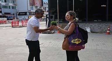 Maltepe'de evler fesleğen kokacak