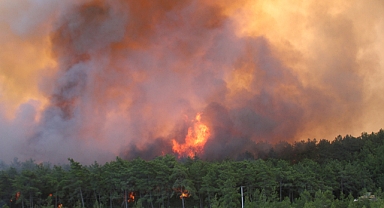 Manavgat'ta orman yangını kontrol altına alındı