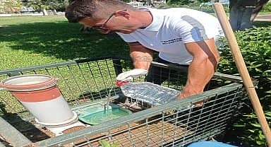 Marmaris Belediyesi ekiplerinden can dostlar için düzenli kontrol