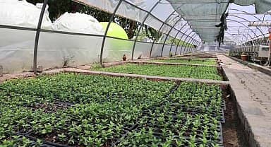 Marmaris Belediyesi'nden 'çiçek gibi' tasarruf