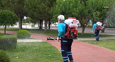 Merkezefendi Belediyesi'nden haşerelere karşı etkin mücadele