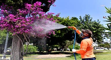 Mersin Büyükşehir, haşere ile mücadeleyi sürdürüyor