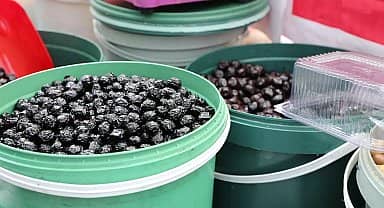 Mudanya'da lezzet ve eğlence dolu 3 gün