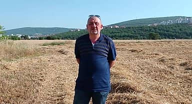 Muğla'da TMO'dan randevu alamayan çiftçinin mahsulü elinde kaldı