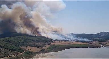 Muğla Milas'ta orman yangını