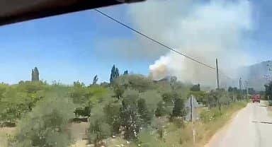 Muğla Ortaca'da orman yangını