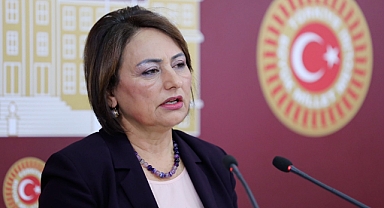 Müzeyyen Şevkin'den bireysel silahlanma için araştırma önergesi