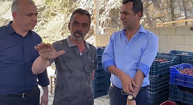 Niğdeli kiraz üreticisi: "Arkadaşlarımız çocuğuna harçlık vermiyor, kiraza yatırım yapıyor.Ama şu an da çok kötüyüz"