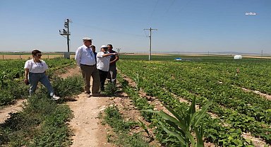 Odunpazarı Belediye Başkanı Kurt, kırsaldaki çalışmaları yerinde inceledi