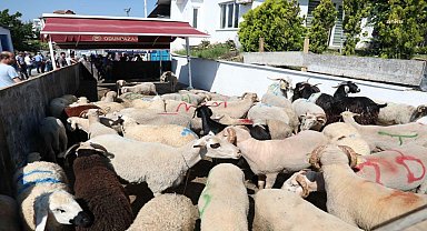 Odunpazarı Belediyesi'nin ücretsiz kesim yerine yoğun ilgi