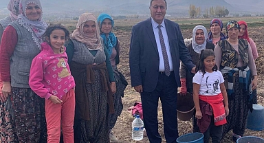 Ömer Fethi Gürer: “Tarım sektöründe istihdam 115 bin kişi azaldı”