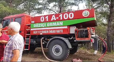 Osmaniye Düziçi'nde orman yangını