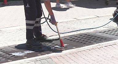 Prof. Dr. Durmuşoğlu: "Mayıs ve Haziran aylarındaki aşırı yağışlar, sivrisineklerin yaşam alanlarını artırdı, normalden çok daha fazla bir popülasyon oluşturdu"