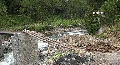 Rize'nin AKP'li Çamlıhemşin Belediyesi'nin Millet Bahçesi yapmak için Zilkale Vadisinde ağaç kesimine başlaması tepki çekti