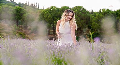 Seferihisar'da lavanta hasadı şenliği için geri sayım başladı