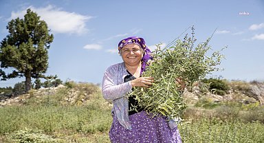 Silifkeli üreticiler, Mersin Büyükşehir'le hasat sevinci yaşadı