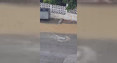 Sinop'ta sağanak yağış hayatı olumsuz etkiledi