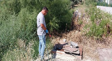 Söke Belediyesi'nden haşere ve sinekle etkin mücadele