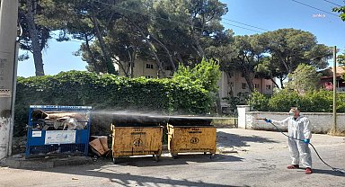 Söke'de larva ve sinekle mücadele devam ediyor 