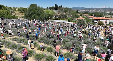 Soyer'den üreticilere lavanta işleme tesisi müjdesi