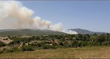 Sumbas'ta orman yangını devam ediyor