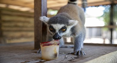 Tarsus Doğa Parkı sakinlerine, fıskiyeli ve buzlu meyveli serinlik