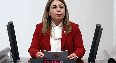 TBMM Başkanvekili Karaca: 