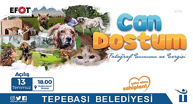 Tepebaşı Belediyesi'nden can dostlara özel fotoğraf sergisi