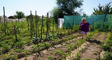 Tepebaşı Belediyesi'nin Gönüllü Bahçelerinde üretmenin keyfi büyüyor