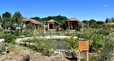 Tepebaşı Belediyesi Yeryüzü Ekoloji Okulu, 'Doğa ve Orman Uygulamaları Atölyesi'ne ev sahipliği yapacak 